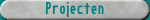 Projecten
